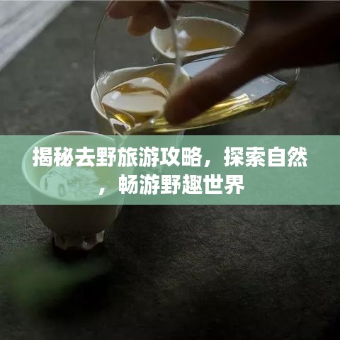 揭秘去野旅游攻略，探索自然，暢游野趣世界