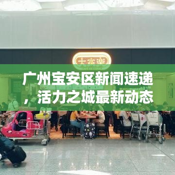 廣州寶安區(qū)新聞速遞，活力之城最新動(dòng)態(tài)揭秘