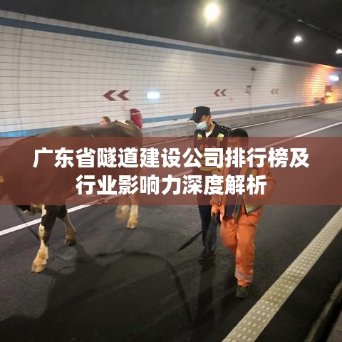 廣東省隧道建設(shè)公司排行榜及行業(yè)影響力深度解析