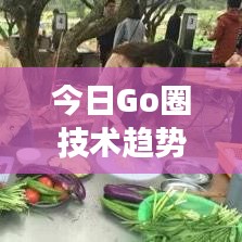 今日Go圈技術(shù)趨勢(shì)報(bào)告，應(yīng)用進(jìn)展、生態(tài)繁榮一網(wǎng)打盡！