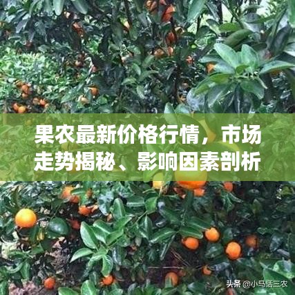 果農(nóng)最新價(jià)格行情，市場走勢揭秘、影響因素剖析及應(yīng)對(duì)策略探討