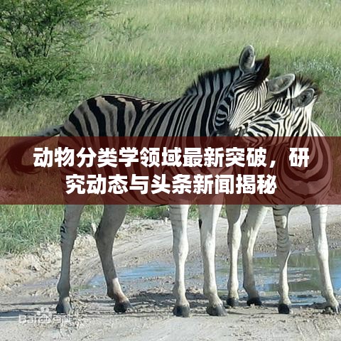 動物分類學領域最新突破，研究動態(tài)與頭條新聞揭秘