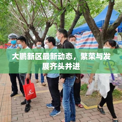 大鵬新區(qū)最新動態(tài)，繁榮與發(fā)展齊頭并進