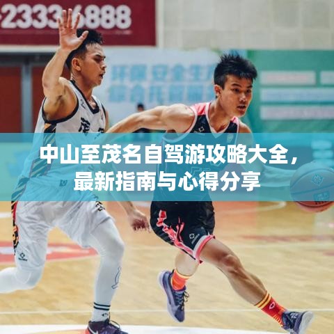 中山至茂名自駕游攻略大全，最新指南與心得分享