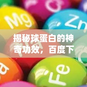 揭秘球蛋白的神奇功效，百度下的球蛋白作用詳解