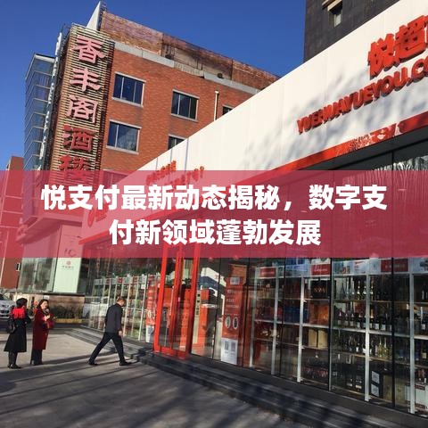 悅支付最新動態(tài)揭秘，數(shù)字支付新領(lǐng)域蓬勃發(fā)展