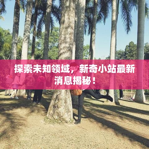 探索未知領(lǐng)域，新奇小站最新消息揭秘！