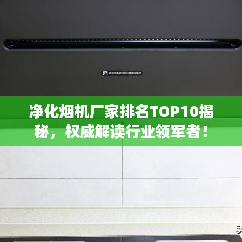 凈化煙機(jī)廠家排名TOP10揭秘，權(quán)威解讀行業(yè)領(lǐng)軍者！