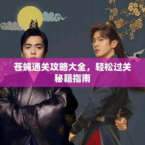 蒼蠅通關攻略大全，輕松過關秘籍指南