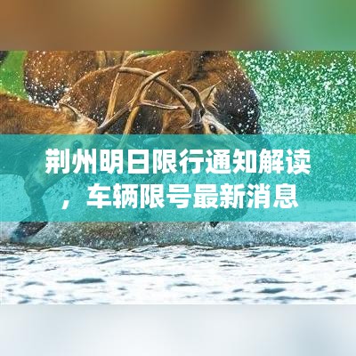 荊州明日限行通知解讀，車(chē)輛限號(hào)最新消息