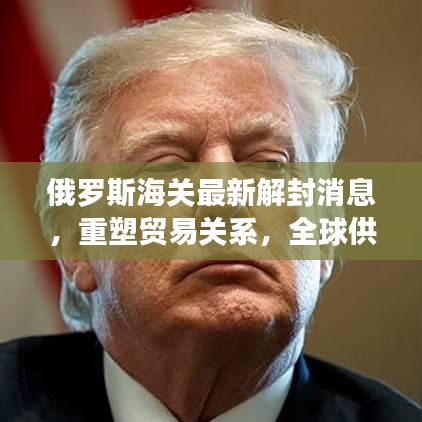 俄羅斯海關(guān)最新解封消息，重塑貿(mào)易關(guān)系，全球供應(yīng)鏈重新整合啟動(dòng)