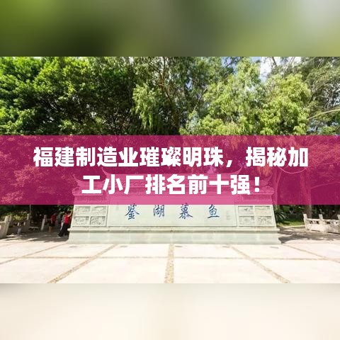 福建制造業(yè)璀璨明珠，揭秘加工小廠排名前十強！