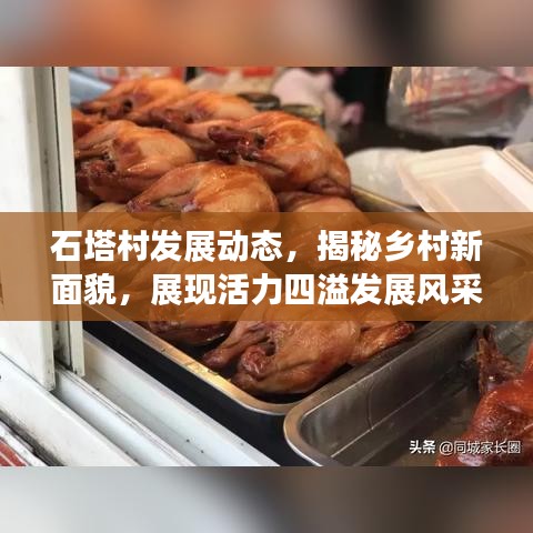 石塔村發(fā)展動態(tài)，揭秘鄉(xiāng)村新面貌，展現(xiàn)活力四溢發(fā)展風采
