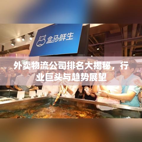 外賣物流公司排名大揭秘，行業(yè)巨頭與趨勢展望
