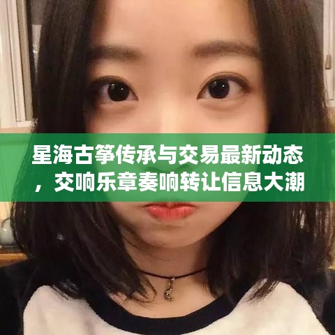 星海古箏傳承與交易最新動態(tài)，交響樂章奏響轉讓信息大潮