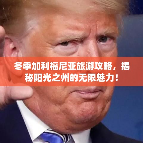 冬季加利福尼亞旅游攻略，揭秘陽光之州的無限魅力！