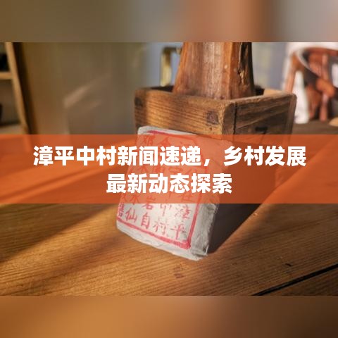 漳平中村新聞速遞，鄉(xiāng)村發(fā)展最新動態(tài)探索