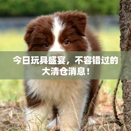 今日玩具盛宴，不容錯過的大清倉消息！