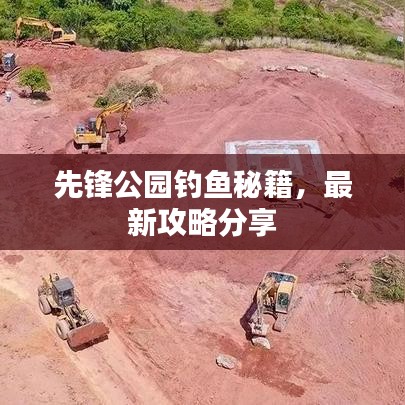 先鋒公園釣魚秘籍，最新攻略分享