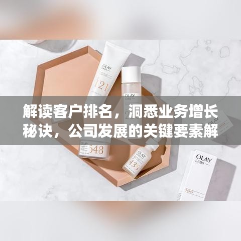 解讀客戶(hù)排名，洞悉業(yè)務(wù)增長(zhǎng)秘訣，公司發(fā)展的關(guān)鍵要素解析