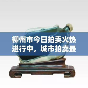 柳州市今日拍賣火熱進(jìn)行中，城市拍賣最新動(dòng)態(tài)搶先看！