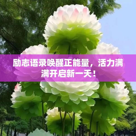 勵(lì)志語(yǔ)錄喚醒正能量，活力滿(mǎn)滿(mǎn)開(kāi)啟新一天！