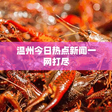 溫州今日熱點(diǎn)新聞一網(wǎng)打盡