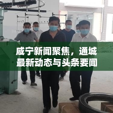 咸寧新聞聚焦，通城最新動態(tài)與頭條要聞解析