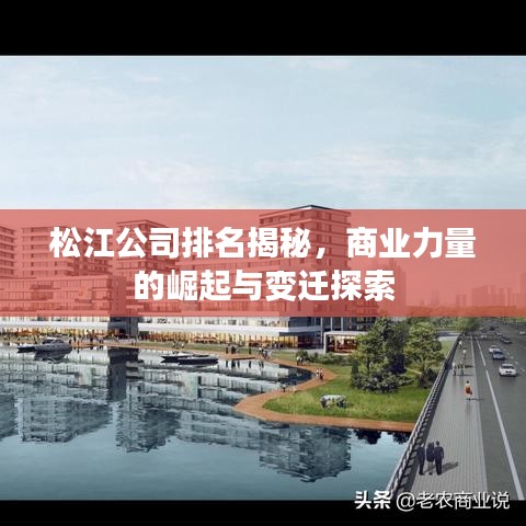 松江公司排名揭秘，商業(yè)力量的崛起與變遷探索
