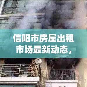 信陽市房屋出租市場最新動態(tài)，新聞頭條揭秘市場變化