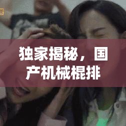 獨(dú)家揭秘，國(guó)產(chǎn)機(jī)械棍排名前十，深度對(duì)比解析！
