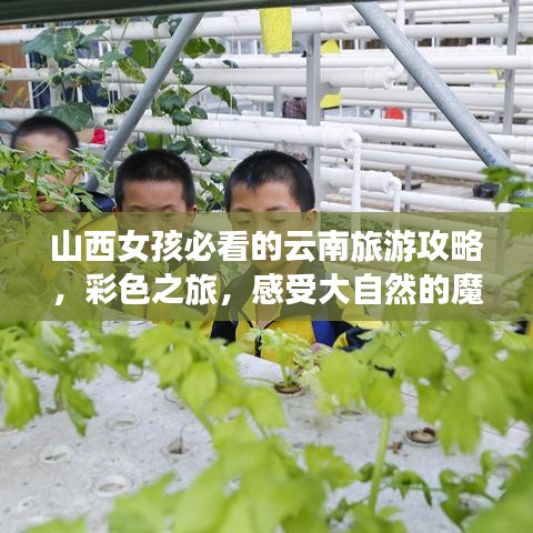 山西女孩必看的云南旅游攻略，彩色之旅，感受大自然的魔法魅力