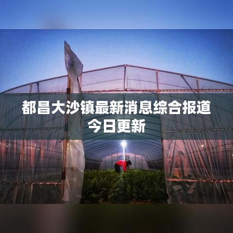 都昌大沙鎮(zhèn)最新消息綜合報道今日更新