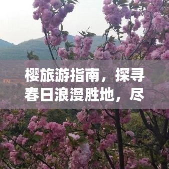 櫻旅游指南，探尋春日浪漫勝地，盡享櫻花盛宴