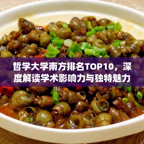 哲學(xué)大學(xué)南方排名TOP10，深度解讀學(xué)術(shù)影響力與獨(dú)特魅力