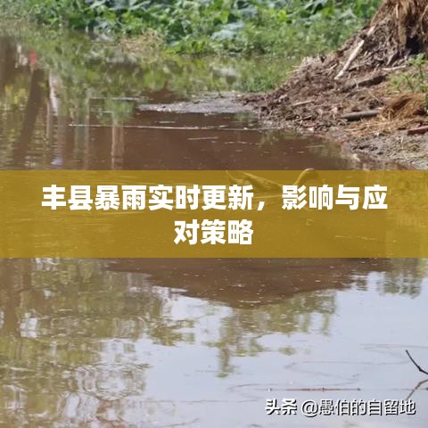 豐縣暴雨實(shí)時更新，影響與應(yīng)對策略