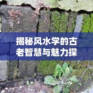 揭秘風水學的古老智慧與魅力探索