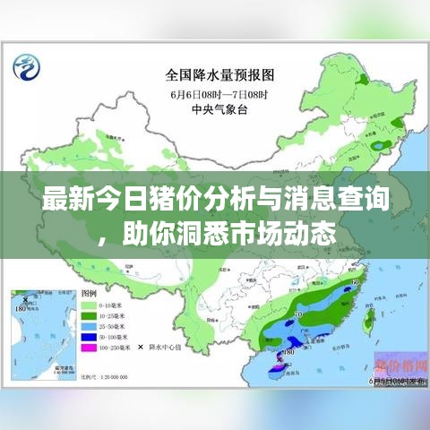 最新今日豬價(jià)分析與消息查詢，助你洞悉市場動(dòng)態(tài)