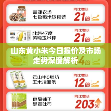 山東黃小米今日?qǐng)?bào)價(jià)及市場(chǎng)走勢(shì)深度解析