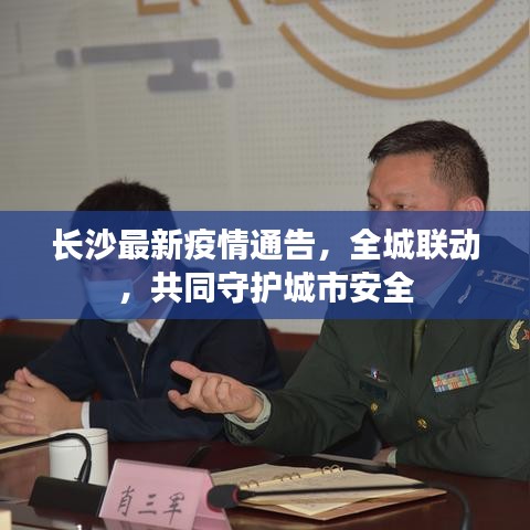 長沙最新疫情通告，全城聯(lián)動，共同守護城市安全