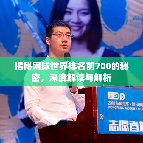 揭秘網(wǎng)球世界排名前700的秘密，深度解讀與解析