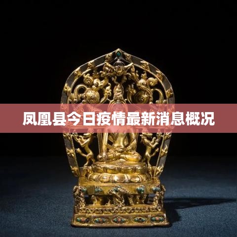 鳳凰縣今日疫情最新消息概況