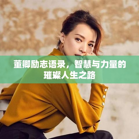 董卿勵志語錄，智慧與力量的璀璨人生之路