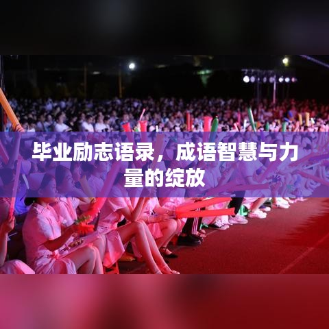 畢業(yè)勵(lì)志語錄，成語智慧與力量的綻放