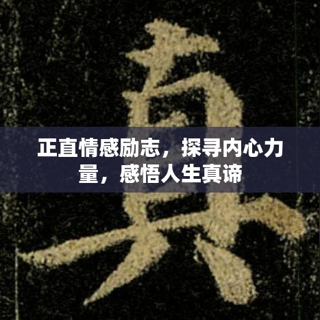 正直情感勵志，探尋內(nèi)心力量，感悟人生真諦