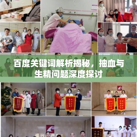 百度關(guān)鍵詞解析揭秘，抽血與生精問題深度探討