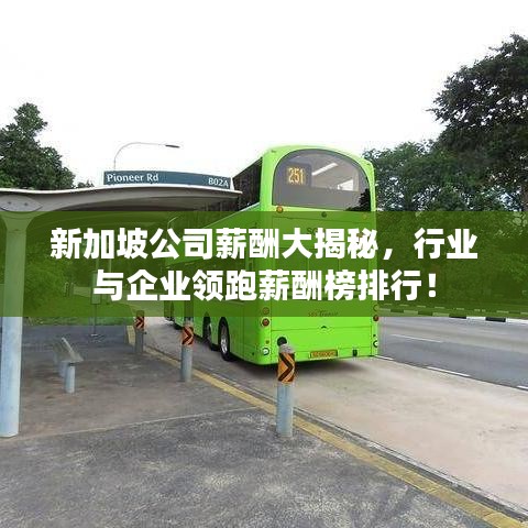 新加坡公司薪酬大揭秘，行業(yè)與企業(yè)領(lǐng)跑薪酬榜排行！