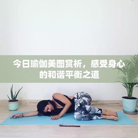 今日瑜伽美圖賞析，感受身心的和諧平衡之道