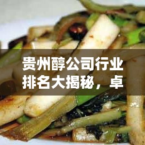 貴州醇公司行業(yè)排名大揭秘，卓越地位引領(lǐng)行業(yè)風(fēng)向標(biāo)！