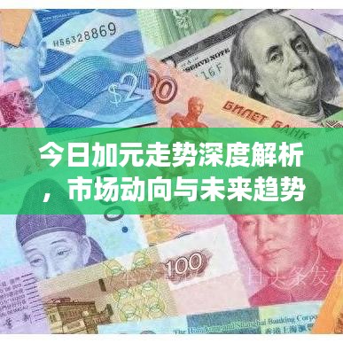 今日加元走勢深度解析，市場動向與未來趨勢展望